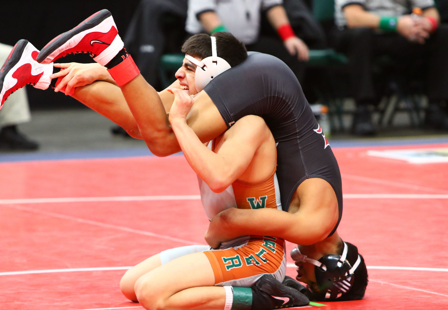 Gallery: Wrestling State Finals